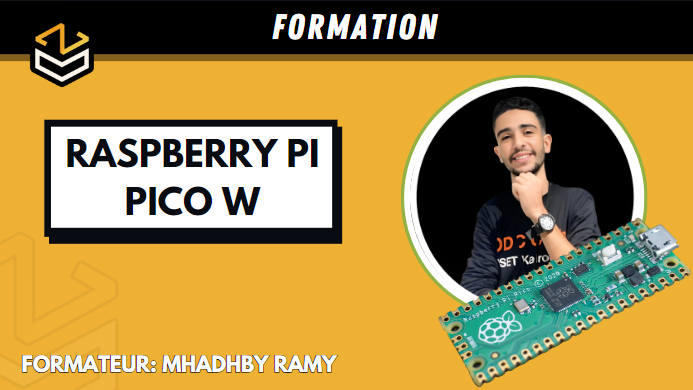 Raspberry Pi Pico W ( Niveau 1 )