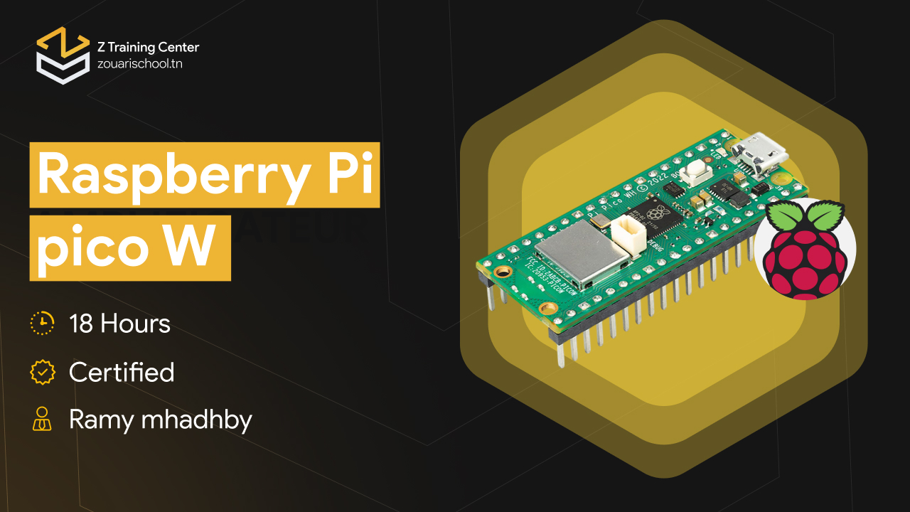 Raspberry Pi Pico W
